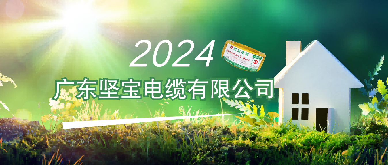 to 线缆人：2024年政府工作报告透露出这些信号……